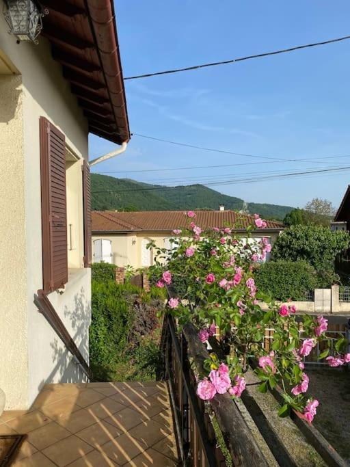La Terrasse Du Fourcat Daire Saint-Paul-de-Jarrat Dış mekan fotoğraf