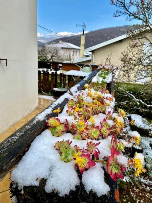 La Terrasse Du Fourcat Daire Saint-Paul-de-Jarrat Dış mekan fotoğraf