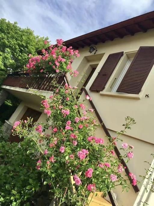La Terrasse Du Fourcat Daire Saint-Paul-de-Jarrat Dış mekan fotoğraf