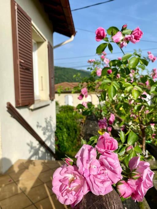 La Terrasse Du Fourcat Daire Saint-Paul-de-Jarrat Dış mekan fotoğraf
